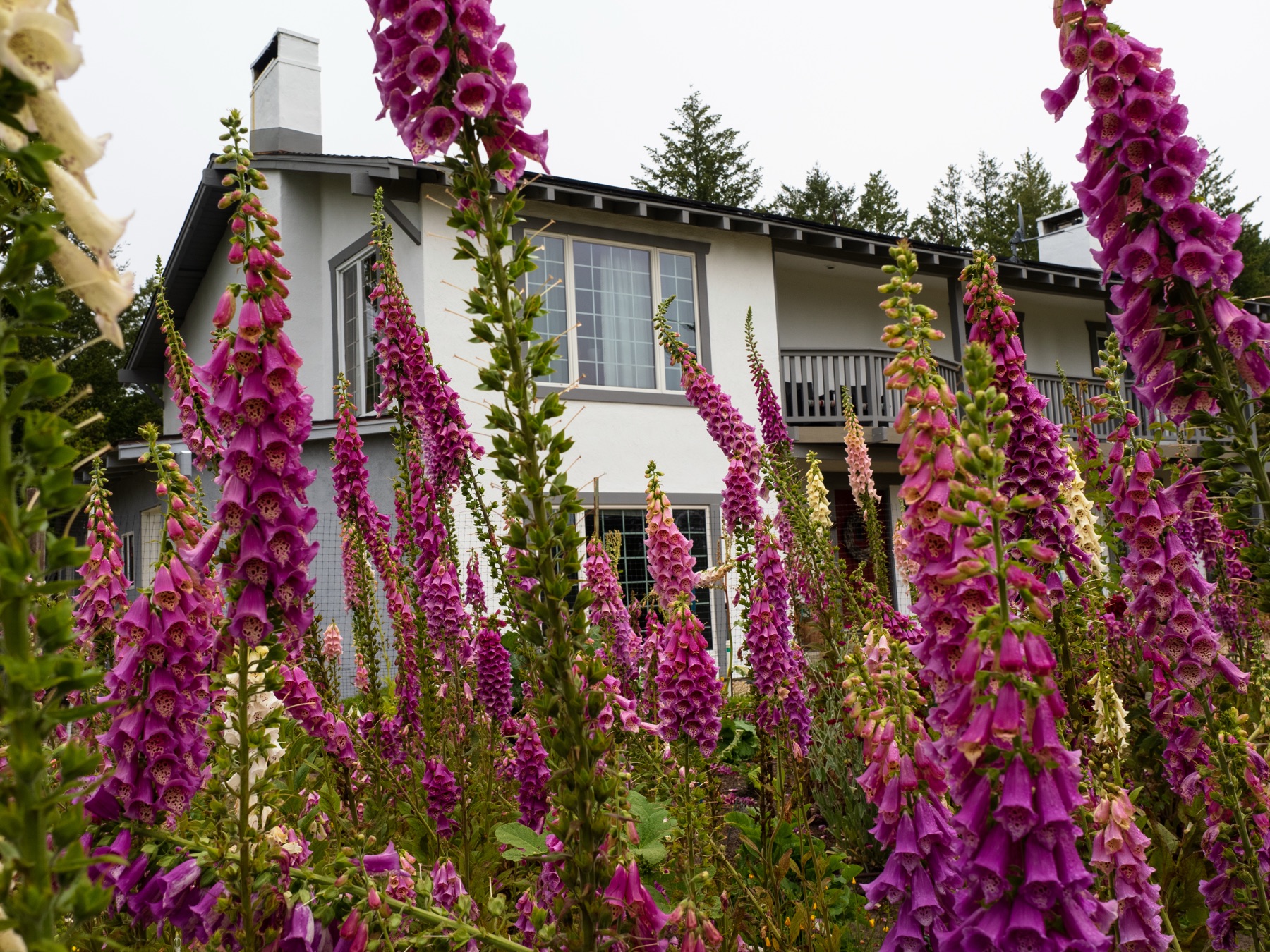 Retreat exterior & garden view